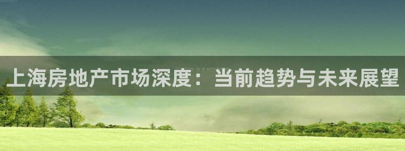 新宝5线路登录：上海房地产市场深度：当前趋势与未来展望