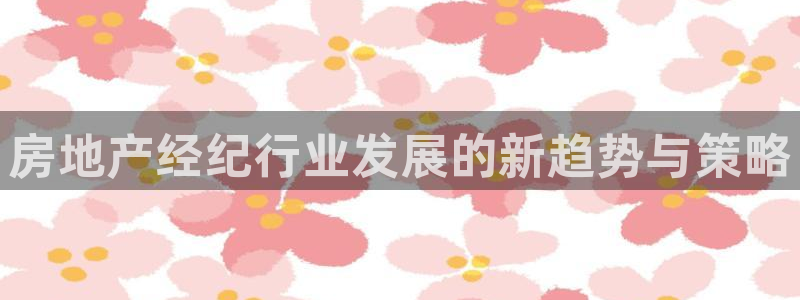 新宝5现在还能玩吗：房地产经纪行业发展的新趋势与策略