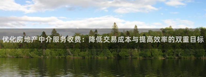 新宝5怎么代理：优化房地产中介服务收费：降低交易成本与提高效