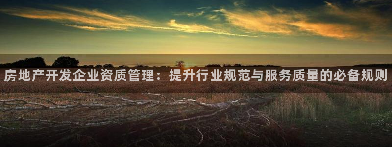 新宝5代理：房地产开发企业资质管理：提升行业规范与服务质量的