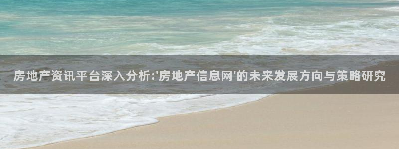 新宝5怎么代理：房地产资讯平台深入分析:\'房地产信息网\'