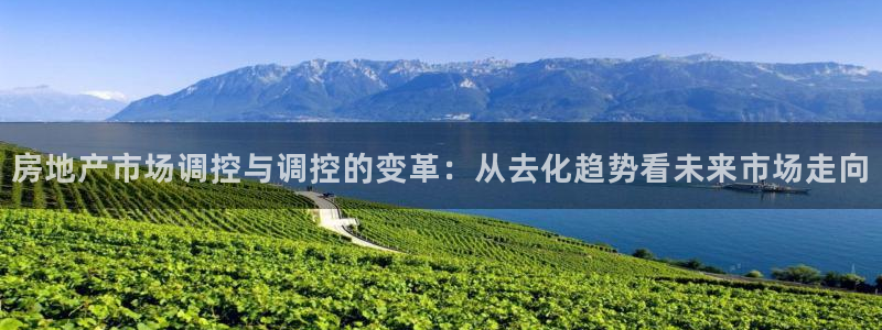 新宝5娱乐招商：房地产市场调控与调控的变革：从去化趋势看未来