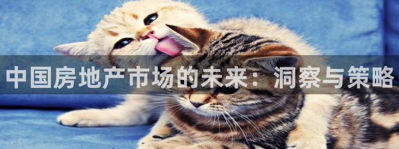 新宝5平台登陆：中国房地产市场的未来：洞察与策略