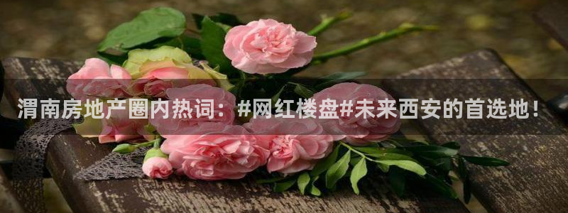 新宝5彩票平台登陆：渭南房地产圈内热词：#网红楼盘#未来西安