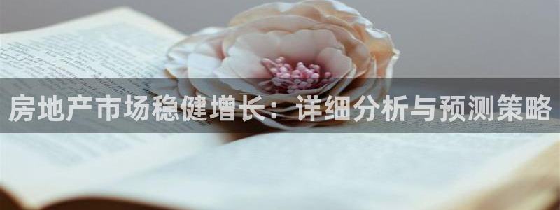 新宝_5：房地产市场稳健增长：详细分析与预测策略