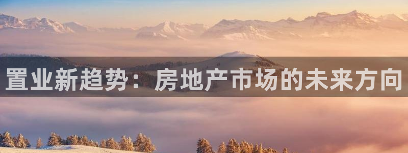新宝rm5：置业新趋势：房地产市场的未来方向