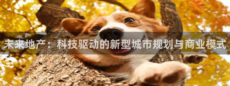 新宝5招商部：未来地产：科技驱动的新型城市规划与商业模式