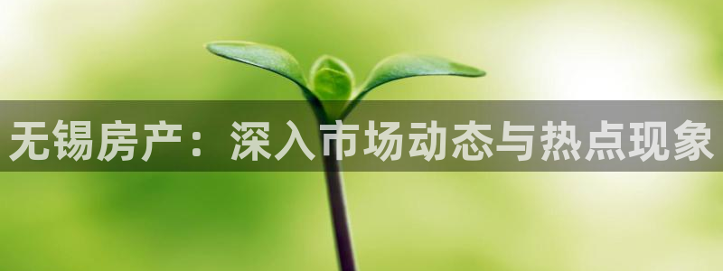 新宝5注册账号：无锡房产：深入市场动态与热点现象