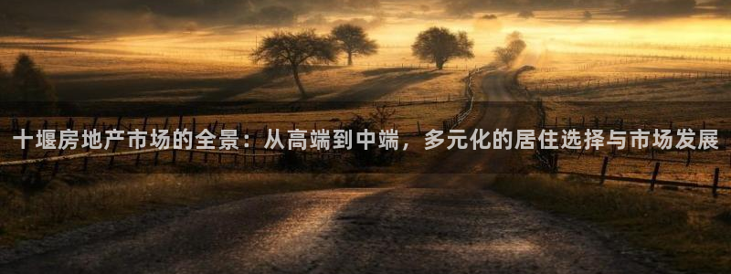 新宝5平台登录：十堰房地产市场的全景：从高端到中端，多元化的