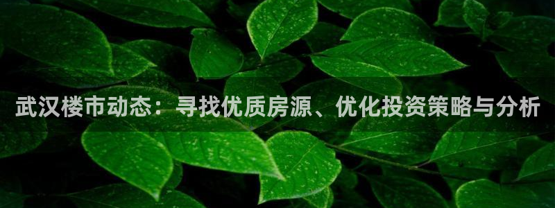 新宝5侹刔：武汉楼市动态：寻找优质房源、优化投资策略与分析