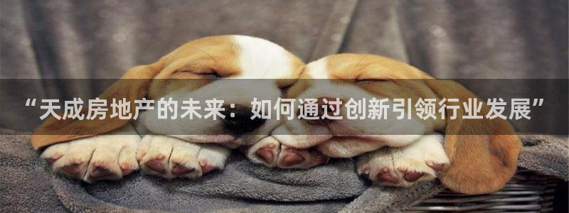 新宝5 注册：“天成房地产的未来：如何通过创新引领行业发展”