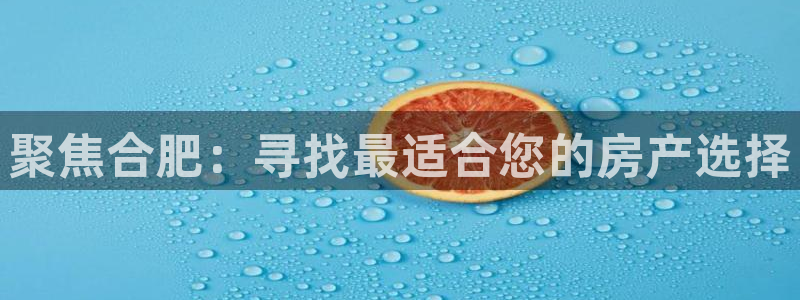 股票5G宝新：聚焦合肥：寻找最适合您的房产选择