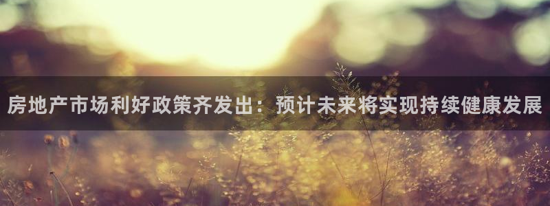 新宝5娱乐招商：房地产市场利好政策齐发出：预计未来将实现持续