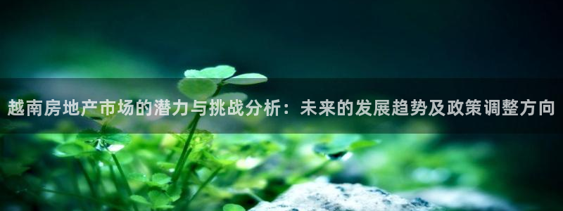 2022新宝骏rs 5：越南房地产市场的潜力与挑战分析：未来