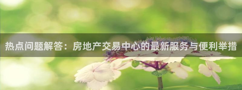 新宝5娱乐手机登录：热点问题解答：房地产交易中心的最新服务与