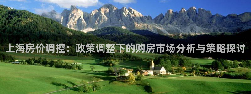 新宝5招商222111：上海房价调控：政策调整下的购房市场分