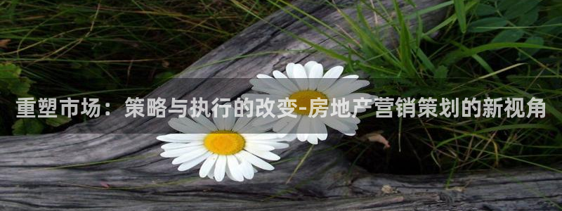 新5宝：重塑市场：策略与执行的改变-房地产营销策划的新视角