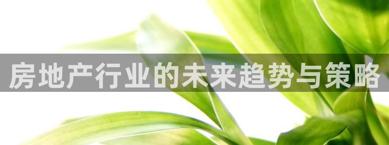 新宝5app：房地产行业的未来趋势与策略