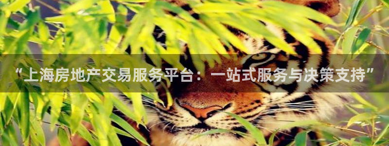 新宝5现在还能玩吗：“上海房地产交易服务平台：一站式服务与决