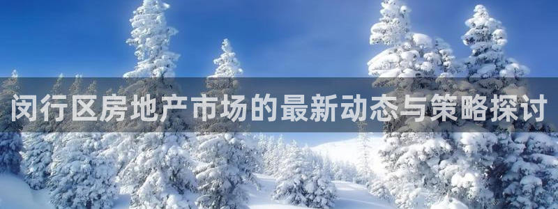新宝5登陆地址：闵行区房地产市场的最新动态与策略探讨