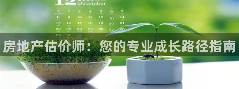 新宝5网址：房地产估价师：您的专业成长路径指南