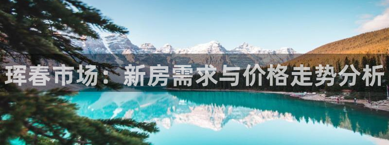 新宝G5：珲春市场：新房需求与价格走势分析