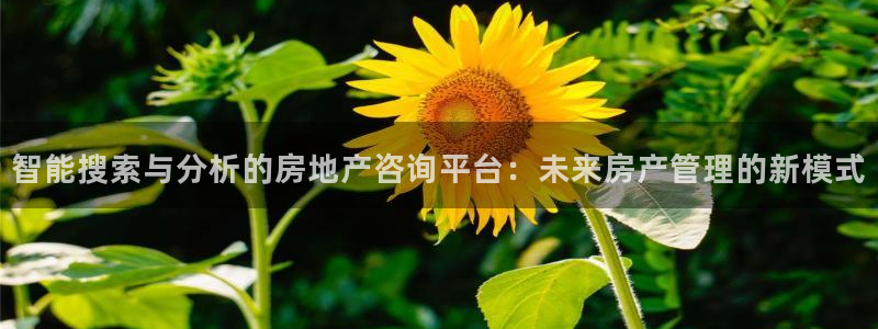 新宝5平台登录注册：智能搜索与分析的房地产咨询平台：未来房产