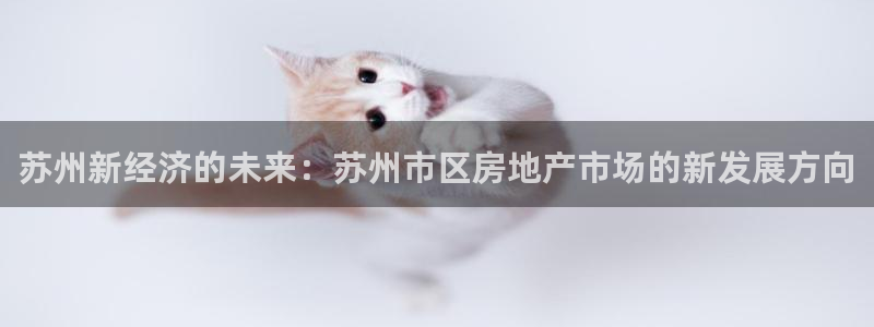 新宝5是什么：苏州新经济的未来：苏州市区房地产市场的新发展方