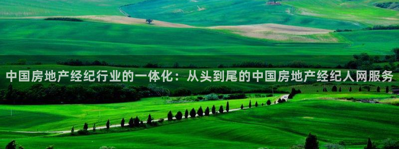 新宝5网址：中国房地产经纪行业的一体化：从头到尾的中国房地产