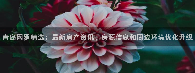 新5宝：青岛网罗精选：最新房产资讯、房源信息和周边环境优化升