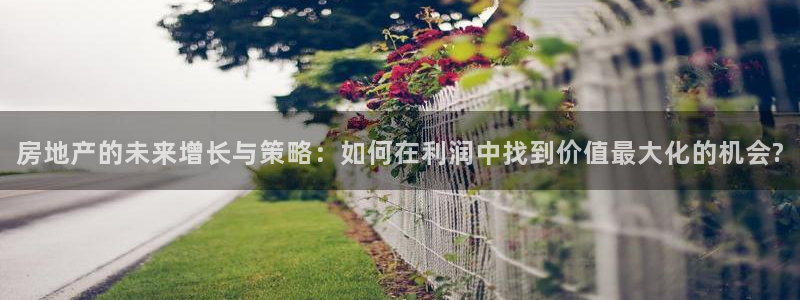 新宝5娱乐网址