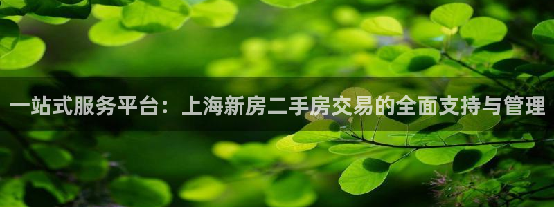 新宝5登录不了：一站式服务平台：上海新房二手房交易的全面支持