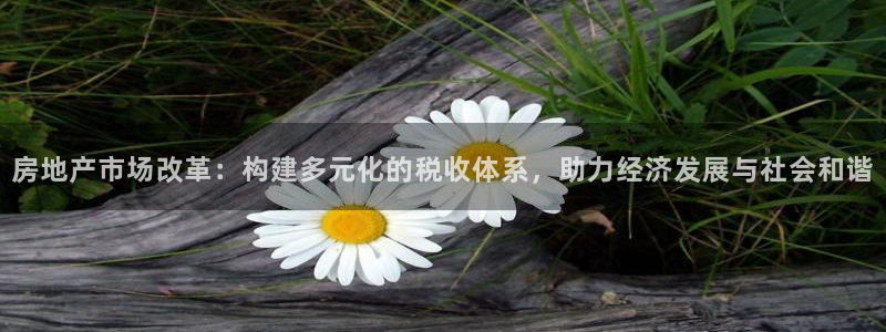 新宝5苹果手机下载：房地产市场改革：构建多元化的税收体系，助
