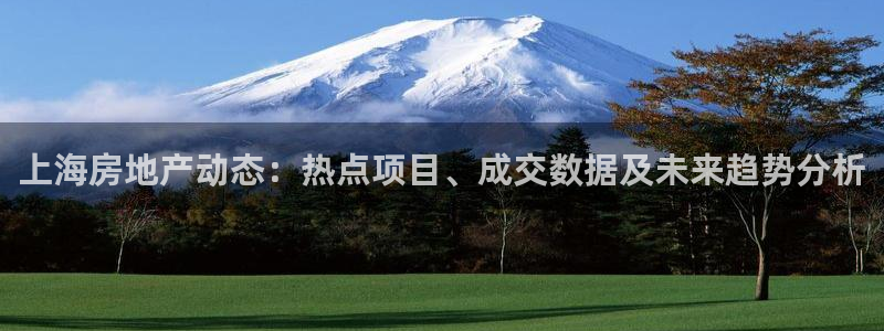 新宝5软件下载：上海房地产动态：热点项目、成交数据及未来趋势