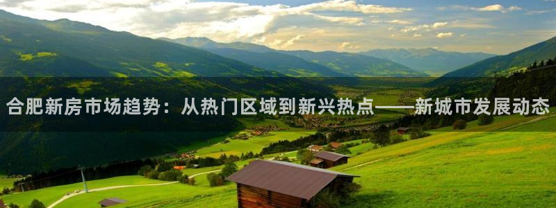新宝5下载：合肥新房市场趋势：从热门区域到新兴热点——新城市