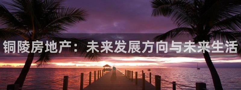 新宝5娱乐招商：铜陵房地产：未来发展方向与未来生活