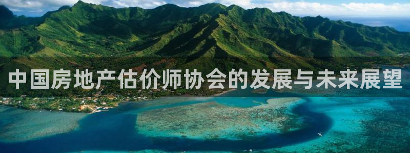 新宝5褚32OO59：中国房地产估价师协会的发展与未来展望