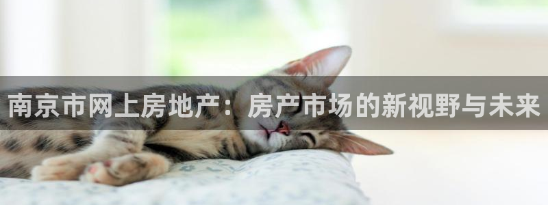 下载新宝5：南京市网上房地产：房产市场的新视野与未来