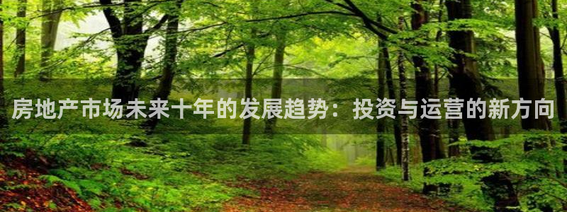 新宝新5：房地产市场未来十年的发展趋势：投资与运营的新方向