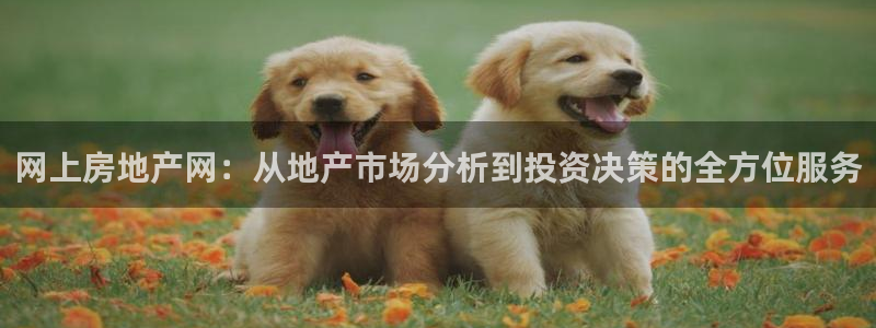 新宝5注册：网上房地产网：从地产市场分析到投资决策的全方位服