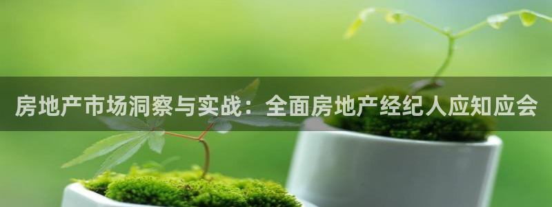 新宝5是什么样子的：房地产市场洞察与实战：全面房地产经纪人应