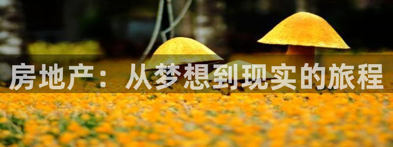 新宝5app：房地产：从梦想到现实的旅程