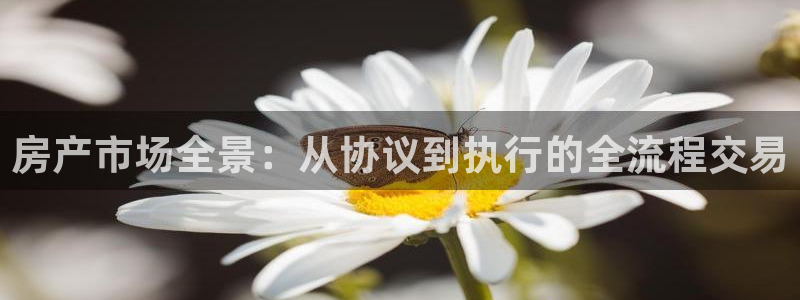 新宝rc_5w：房产市场全景：从协议到执行的全流程交易