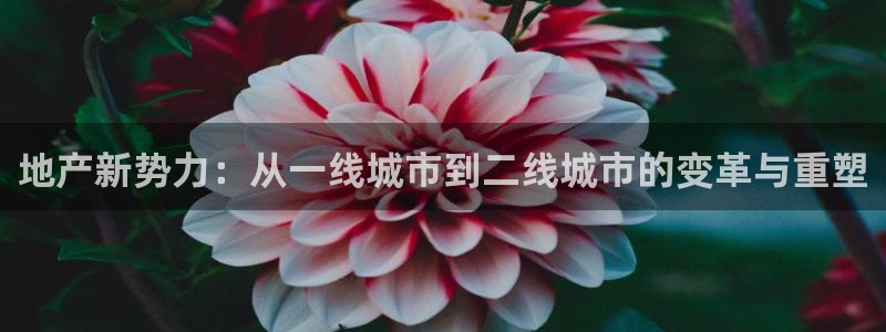 老新宝5授权登录：地产新势力：从一线城市到二线城市的变革与重