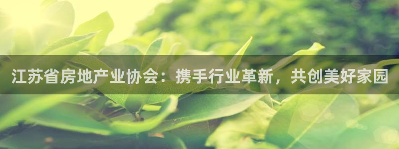 新宝5上70 667：江苏省房地产业协会：携手行业革新，共创