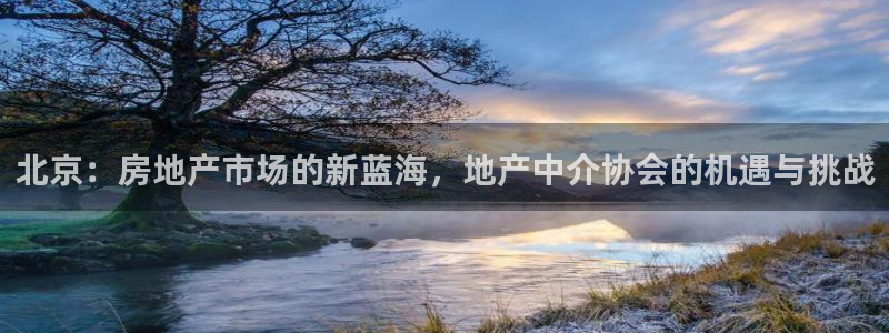 i新宝5：北京：房地产市场的新蓝海，地产中介协会的机遇与挑战