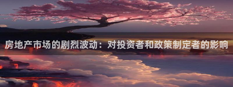 新宝5招商部：房地产市场的剧烈波动：对投资者和政策制定者的影