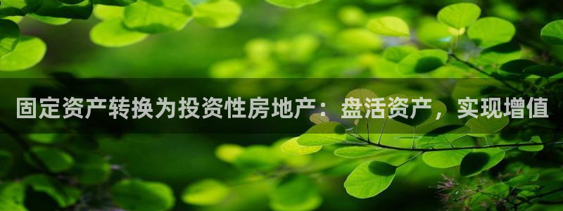新宝5娱乐主管：固定资产转换为投资性房地产：盘活资产，实现增