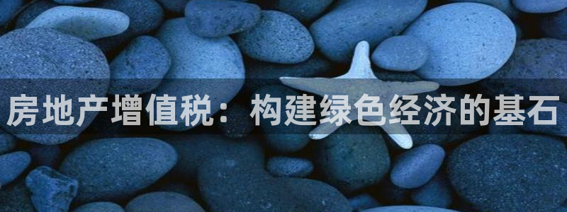 新宝5上来77542：房地产增值税：构建绿色经济的基石