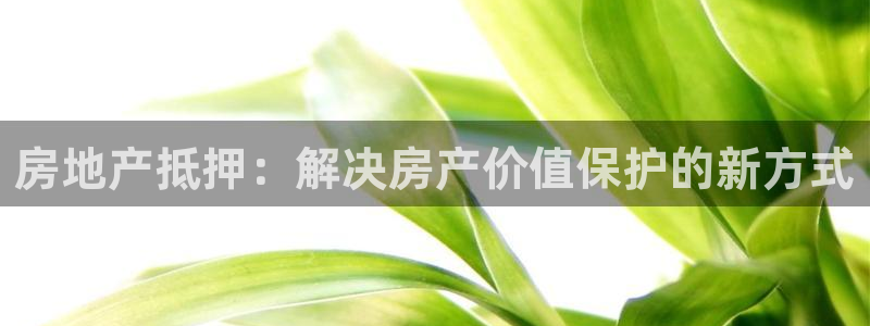 新宝5苹果手机下载：房地产抵押：解决房产价值保护的新方式